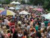 Brasília: centenas de foliões esperam o desfile do bloco Galinho de Brasília, que surgiu há 20 anos, fundado por um grupo de amigos nordestinos