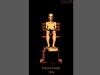 Forrest Gump: O Contador de Histórias, vencedor de 1994