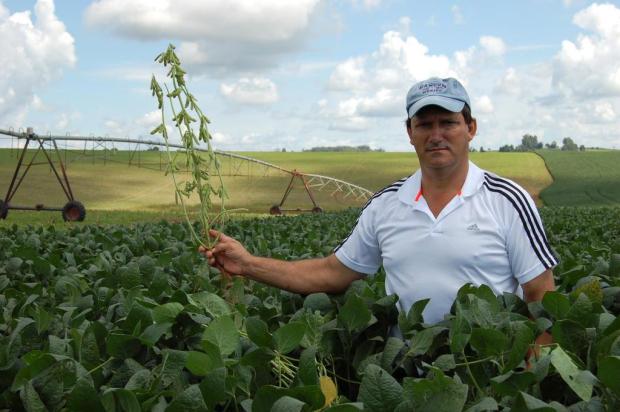 Irrigação em três turnos no RS Roberto Big Souza/Especial