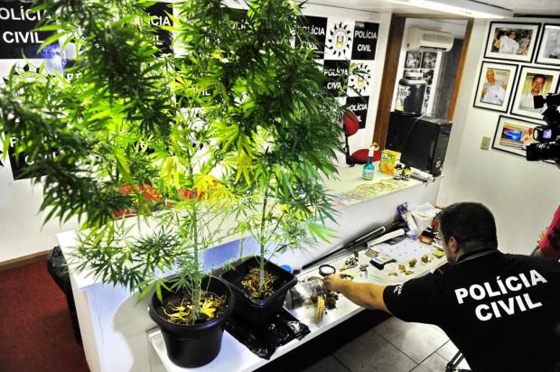 Policiais apreendem pés de maconha em apartamento na Cidade Baixa Lauro Alves/Agencia RBS