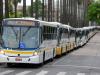 Diversos ônibus trafegam nas vias com velocidade inferior a 30 km/h