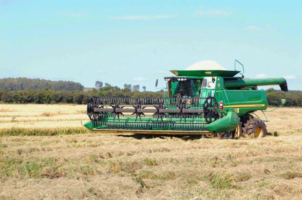 Arroz e feijão terão a quarta maior safra desde 1977 Eduardo Ramos/Especial Arroz e feijão terão a quarta maior safra desde 1977 Eduardo Ramos/Especial