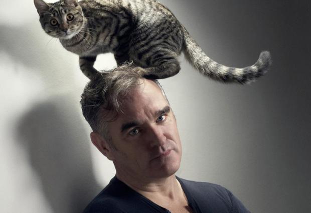 Com pneumonia, Morrissey volta a cancelar apresentação Divulgação/ Com pneumonia, Morrissey volta a cancelar apresentação Divulgação/