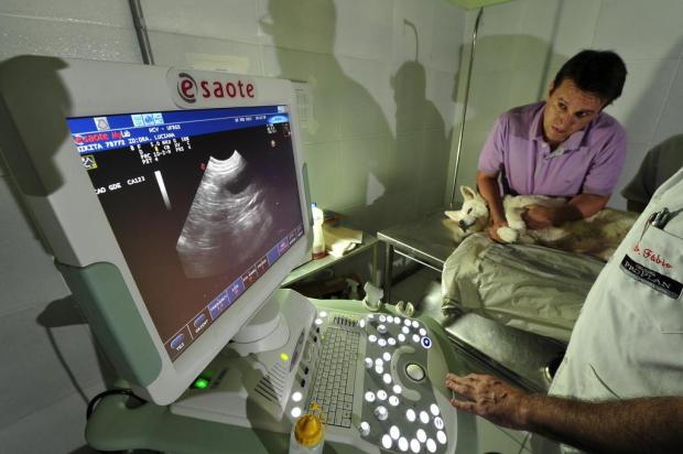 Ecografia e quimioterapia estão entre as técnicas usadas para tratar cães e gatos Diego Vara/Agencia RBS