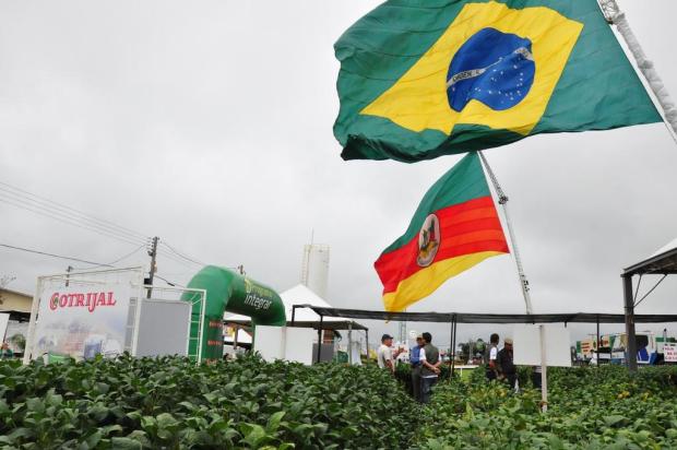 Área de plantio de trigo pode aumentar até 10% Diogo Zanatta,Especial/Especial Área de plantio de trigo pode aumentar até 10% Diogo Zanatta,Especial/Especial
