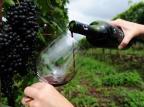 Beber vinho pode danificar os dentes Fernando Gomes/Agencia RBS Beber vinho pode danificar os dentes Fernando Gomes/Agencia RBS