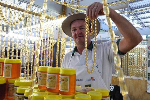 Artesanato e produtos coloniais são atrações dos visitantes da Expodireto Diogo Zanatta/Especial