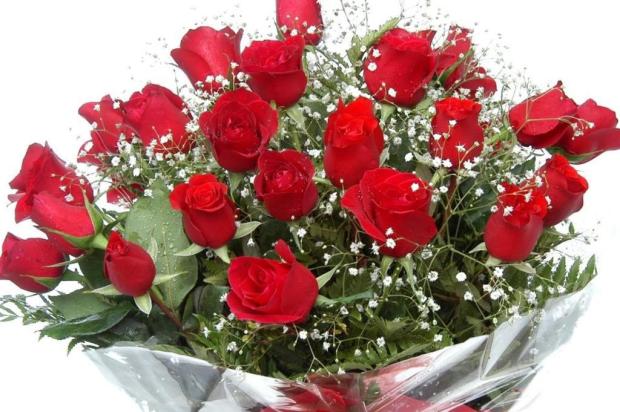Flores para os homens xx/Reprodução