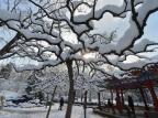 Nevasca embranquece paisagem na China Mark Ralston/AFP Nevasca embranquece paisagem na China Mark Ralston/AFP