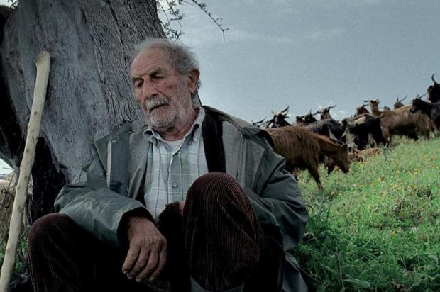 Filme italiano festejado pela crítica estreia em Porto Alegre Filmes da Mostra/Divulgação