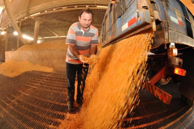 Brasil está próximo de se tornar o maior exportador mundial de milho Luis Iarcheski/Especial