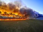 Incêndio atinge Estação Ecológica do Taim, no sul do Estado