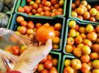 Tomate contrabandeado da Argentina é alvo de apreensão de fiscais no Brasil Andréa Graiz/Agencia RBS