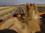 Metade da área de arroz no Rio Grande do Sul já foi colhida Genaro Joner/Agencia RBS Metade da área de arroz no Rio Grande do Sul já foi colhida Genaro Joner/Agencia RBS