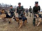 "Por ora, nenhuma embaixada pretende sair do país", diz embaixador do Brasil na Coreia do Norte KCNA/AFP "Por ora, nenhuma embaixada pretende sair do país", diz embaixador do Brasil na Coreia do Norte KCNA/AFP
