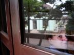 Prefeita de Mato Leitão é assaltada e levada como refém por criminosos Caco Konzen/Especial Prefeita de Mato Leitão é assaltada e levada como refém por criminosos Caco Konzen/Especial