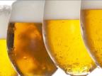 Estudo indica que gosto da cerveja aciona recompensa cerebral Dicas da Capital/Divulgação Estudo indica que gosto da cerveja aciona recompensa cerebral Dicas da Capital/Divulgação