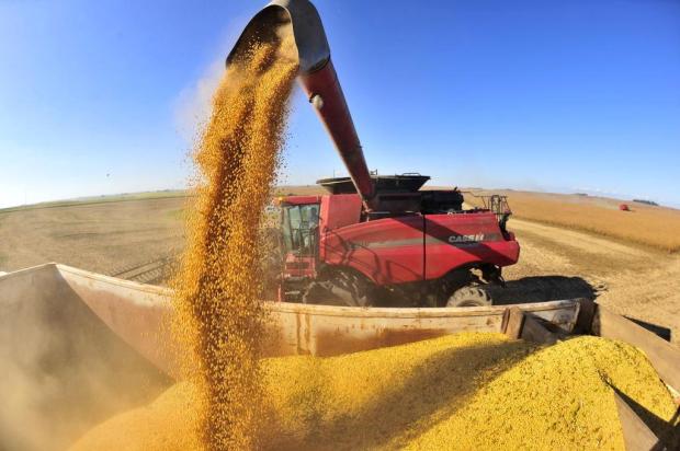 Maior safra gaúcha de soja da história é confirmada pela Conab Tadeu Vilani/Agencia RBS