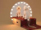 Arquitetura pra cachorro reprodução/divulgação Arquitetura pra cachorro reprodução/divulgação