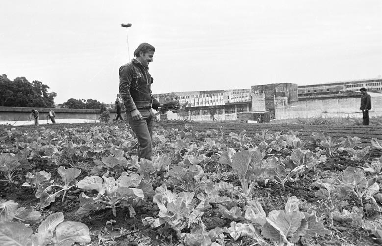 Presídio Central, 1981:imagem 2