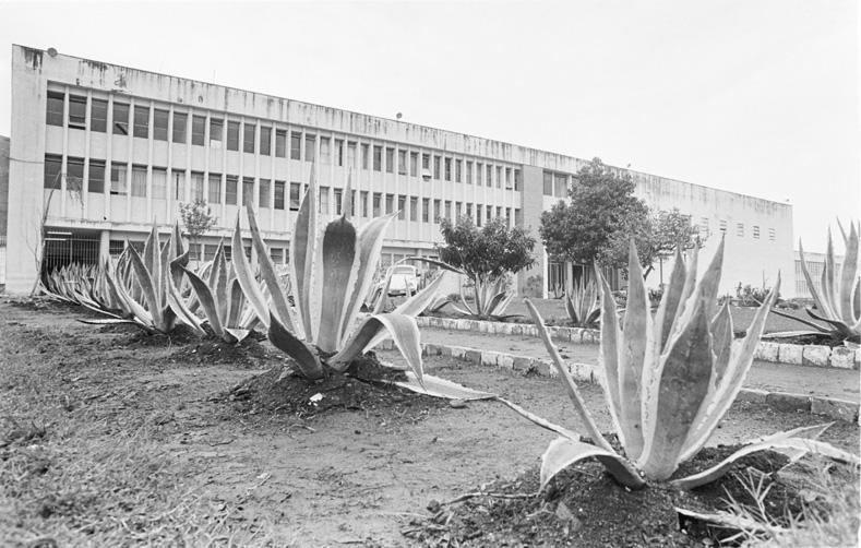 Presídio Central, 1981:imagem 3