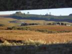 Observação de aves é atração em Cambará do Sul Roberto Azambuja/Zero Hora Observação de aves é atração em Cambará do Sul Roberto Azambuja/Zero Hora