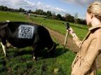 QR codes se popularizam e hoje fazem parte do cotidiano de pessoas ao redor do mundo Thisisdairyfarming/Divulgação QR codes se popularizam e hoje fazem parte do cotidiano de pessoas ao redor do mundo Thisisdairyfarming/Divulgação