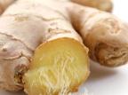 Gengibre é recomendado para tratar enjoos da gravidez root herbal/Divulgação