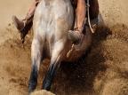 Ginetes e cavalos crioulos levantam poeira em Santa Maria Mauro Vieira/Agencia RBS