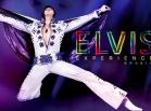 Exposição The Elvis Experience traz a Porto...