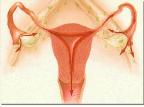 Mulheres desconhecem relação entre câncer do colo do útero e HPV Divulgação/Agencia RBS Mulheres desconhecem relação entre câncer do colo do útero e HPV Divulgação/Agencia RBS