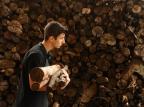 Chuva e vento anunciam a chegada do frio nesta quinta-feira na Serra gaúcha Daniela Xu/Agencia RBS Chuva e vento anunciam a chegada do frio nesta quinta-feira na Serra gaúcha Daniela Xu/Agencia RBS