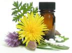 Entenda os mitos e verdades sobre a homeopatia Stock.Xchng/Divulgação Entenda os mitos e verdades sobre a homeopatia Stock.Xchng/Divulgação