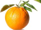 Vitamina C contribui na prevenção de lesões Stock.xchng/Divulgação