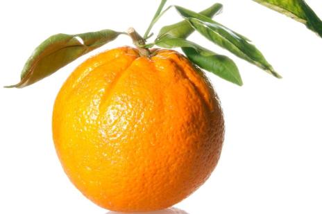 Vitamina C contribui na prevenção de lesões (Stock.xchng/Divulgação)