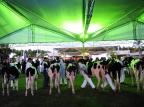 Fim de semana para aproveitar a Expoleite-Fenasul Mauro Vieira/Agencia RBS