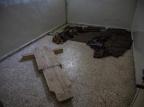 ONU e Rússia fazem apelo para estancar massacres na Síria HRW/HRW ONU e Rússia fazem apelo para estancar massacres na Síria HRW/HRW