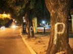 Prefeitura afirma que tentará acordo antes do início do corte de árvores para a duplicação da Avenida Beira-Rio Diego Vara/Agência RBS