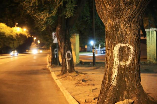 Prefeitura afirma que tentará acordo antes do início do corte de árvores para a duplicação da Avenida Beira-Rio Diego Vara/Agência RBS