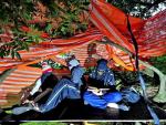 Ativistas acampam há 40 dias para evitar corte de árvores