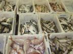 Operação apreende 80 toneladas de pescado ilegal no sul do Estado Divulgação/Marinha do Brasil