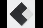 Obra de Lygia Clark bate recorde em leilão (Reprodução/Galeria Phillips)