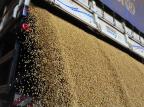 Safra de verão marca retomada de investimentos para agricultores da região central do Estado Ronald Mendes/Agencia RBS Safra de verão marca retomada de investimentos para agricultores da região central do Estado Ronald Mendes/Agencia RBS