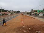 Duplicação da Avenida Tronco prevê remoção de 1,5 mil árvores em Porto Alegre Diego Vara/Agencia RBS