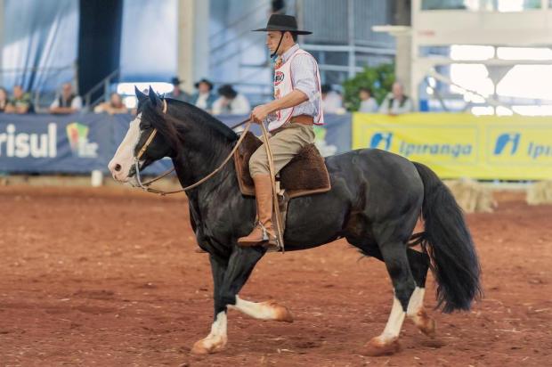 Etapa do Freio de Ouro em Londrina classifica sete competidores para final Felipe Ulbrich/Divulgação/ABCCC Etapa do Freio de Ouro em Londrina classifica sete competidores para final Felipe Ulbrich/Divulgação/ABCCC