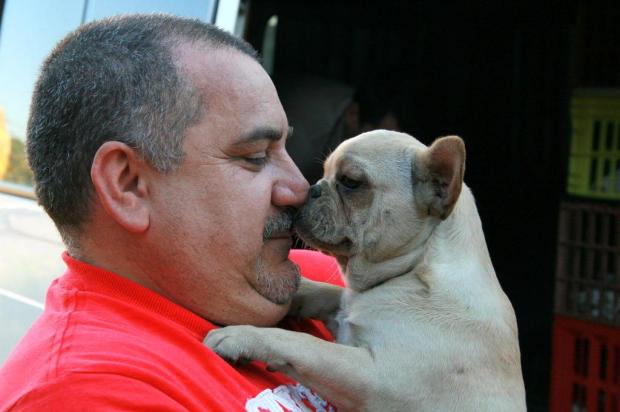 Cães que sobreviveram a incêndio são transferidos para Itajaí Charles Dias/Especial