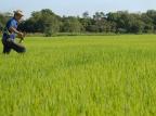 Governo anuncia investimentos de R$ 39 bilhões para a agricultura familiar Cristiane Serpa/Agencia RBS Governo anuncia investimentos de R$ 39 bilhões para a agricultura familiar Cristiane Serpa/Agencia RBS