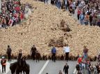 Fotos: Marselha, na França, simula migração de animais Boris Horvat/AFP Fotos: Marselha, na França, simula migração de animais Boris Horvat/AFP