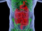 Campanha alerta sobre a importância do diagnóstico precoce das doenças inflamatórias intestinais Dmitry Demyanenko/Deposit Photos