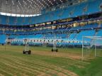 Vistoria, segurança e gramado: veja o que está em manutenção na Arena do Grêmio Evandro Krebs/Arquivo Pessoal Vistoria, segurança e gramado: veja o que está em manutenção na Arena do Grêmio Evandro Krebs/Arquivo Pessoal
